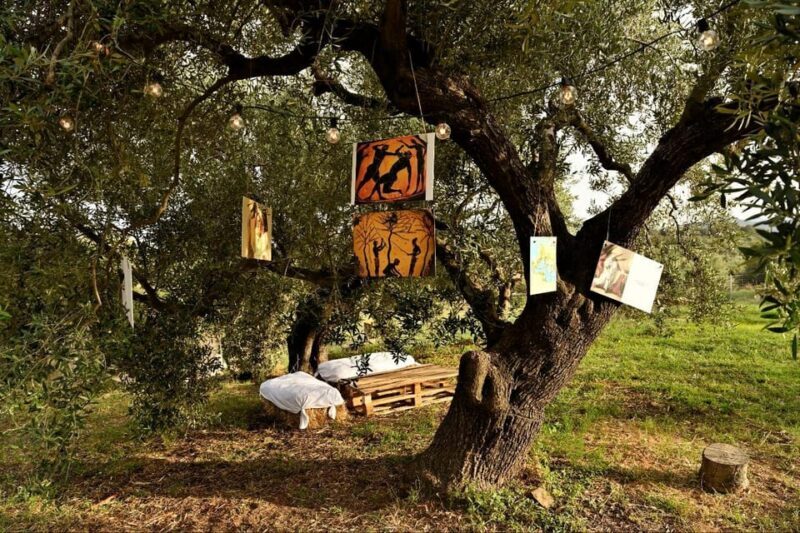 SARDINIA FOOD Tour in the oil mill, with tasting, at sunset. - FAQ