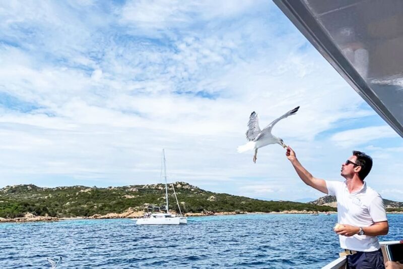 Sardinia: La Maddalena Archipelago Full-Day Trip by Boat - Swimming & Beaches: The Highlight