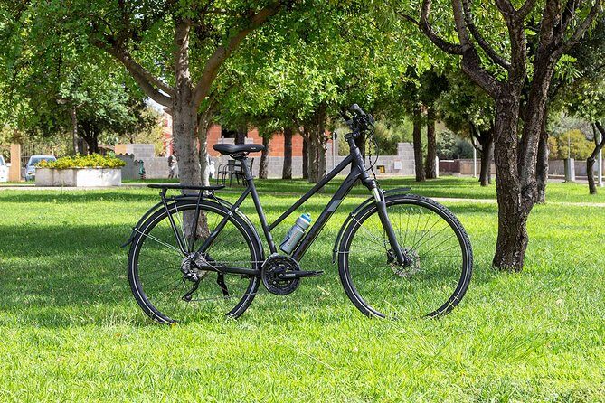 Sardinia Trekking Bike Rental - Authentic Feedback from Travelers