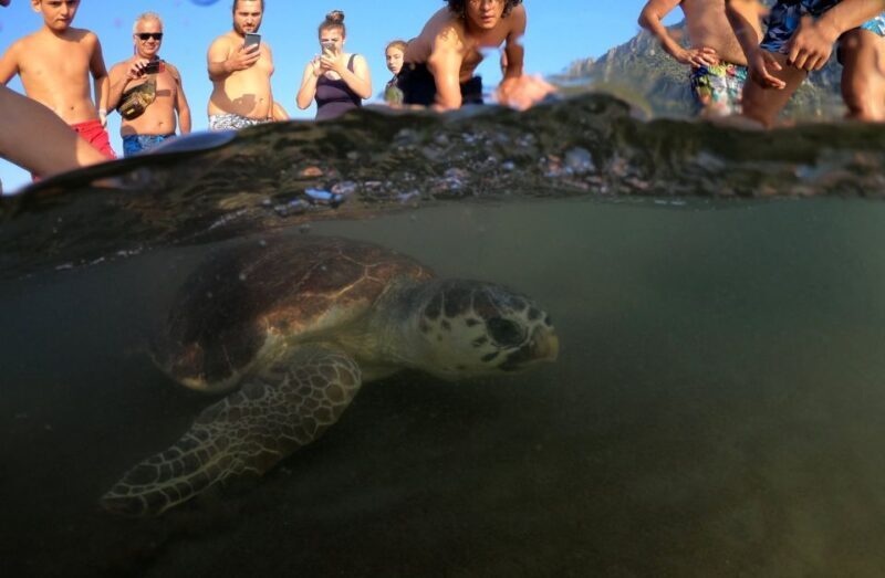 Sarigerme: Dalyan, Turtle Beach, Mud Bath, & King Tombs Tour - Exploring Dalyan: A River and Cultural Treasure