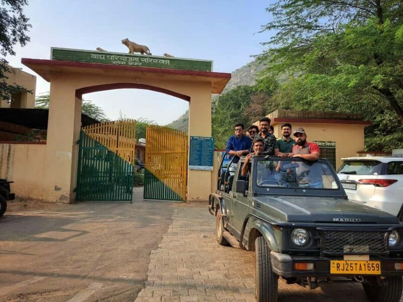Sariska : Online Safari Booking, Bala Quila Safari - A Closer Look at Sariska Safari: What You Can Expect