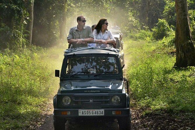 Sariska Tiger Reserve Safari Tickets (Skip The Line) - Who Should Consider This Tour?