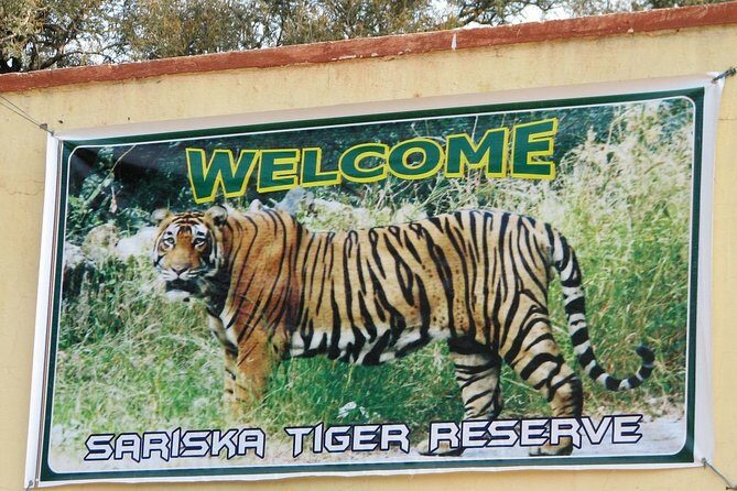 Sariska Tiger Reserve Safari Tickets (Skip The Line) - FAQ
