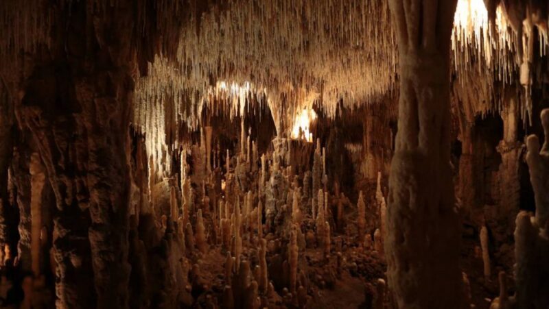 Sarlat : Private tour to Prehistoric Cave + Medieval Castle - Final Thoughts