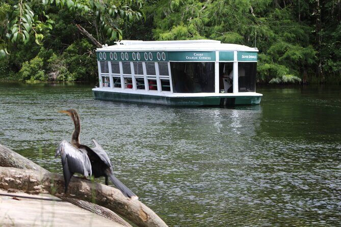 Sassys Silver Springs Kayak and Paddleboard Tours - Who will enjoy this tour?