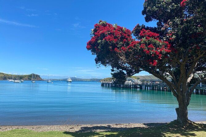 Saturday Sights and Flavours Tour - Key Points