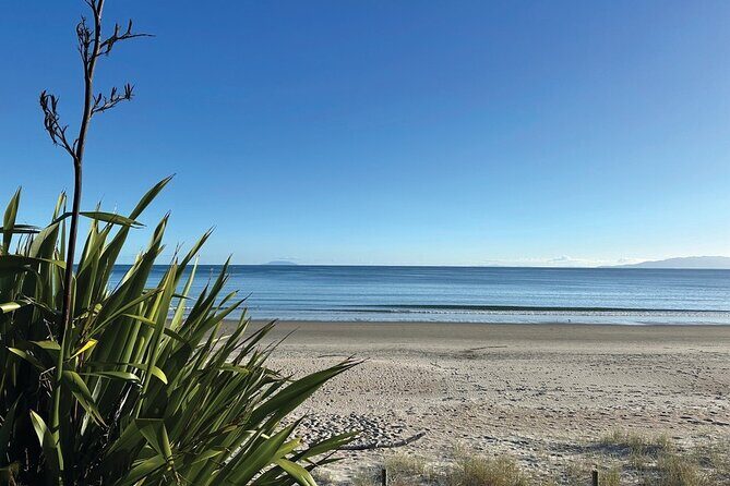 Saturday Sights and Flavours Tour - An In-Depth Look at the Waiheke Island Saturday Sights and Flavours Tour