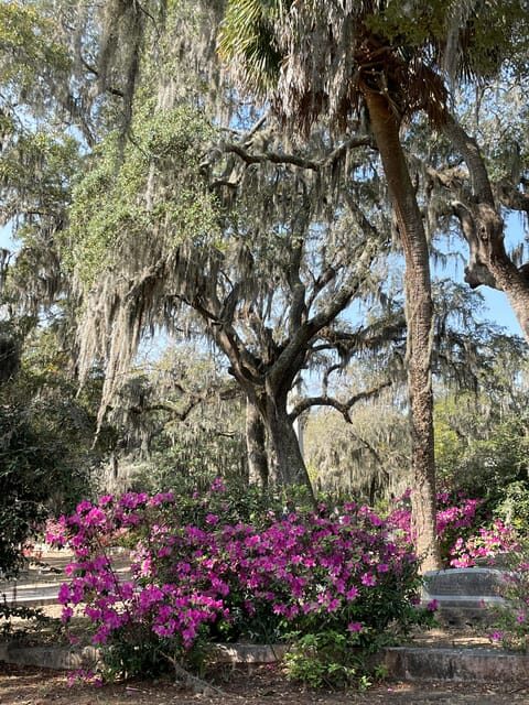 Savannah: Bonaventure Cemetery Golf Cart Guided Tour - Savannah: Bonaventure Cemetery Golf Cart Guided Tour