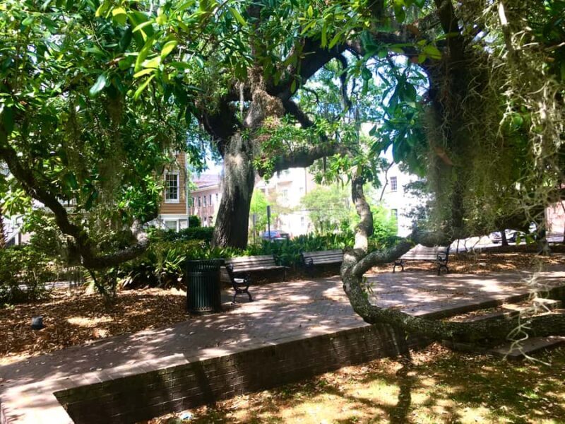 Savannah: Highlights & Hidden Gems Guided Walking Tour - Key Points