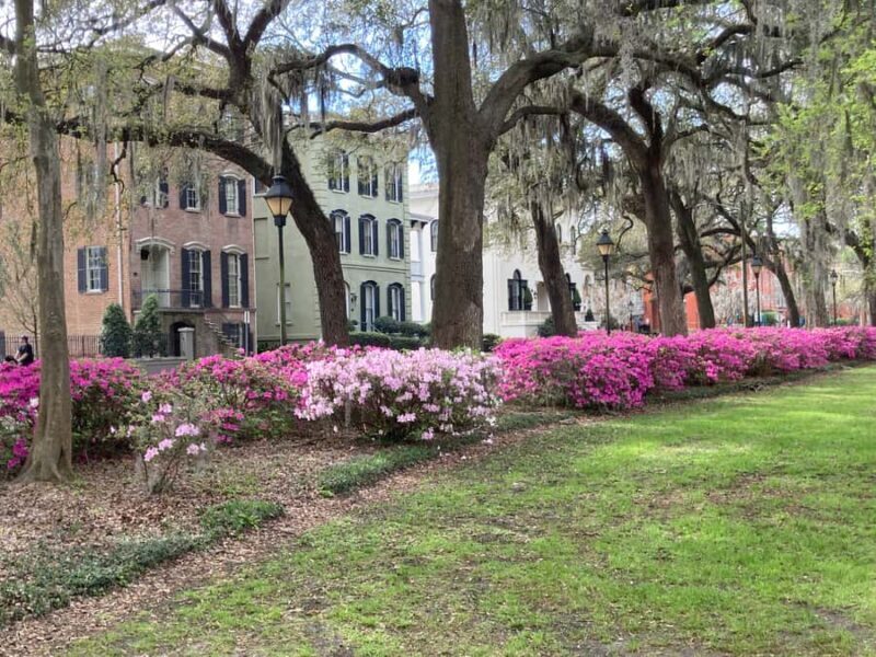 Savannah: Highlights & Hidden Gems Guided Walking Tour - Frequently Asked Questions (FAQs)