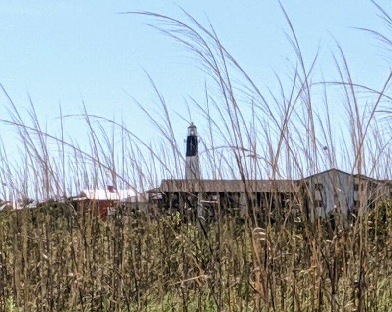 Savannah: Historic District and Islands Private Tour - Tybee Island’s Coastal Charm