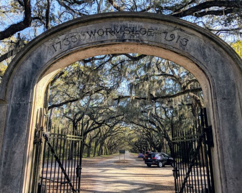 Savannah: Historic District, Islands & more VIP Private Tour - Who Will Love This Tour?