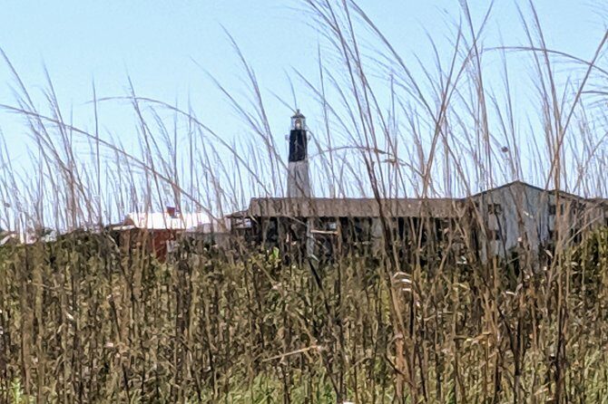 Savannah Historic District & Islands Private Guided Tour - Exploring the Savannah Historic District & Tybee Islands