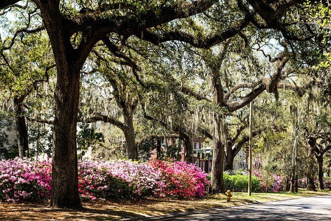 Savannah Historic Downtown Donuts and Sweet Treats Tour - FAQs About the Savannah Downtown Donuts & Sweet Treats Tour