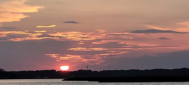 Savannah River Marsh: Your unforgettable Cruise Adventure! - A Deep Dive into the Savannah River Marsh Tour