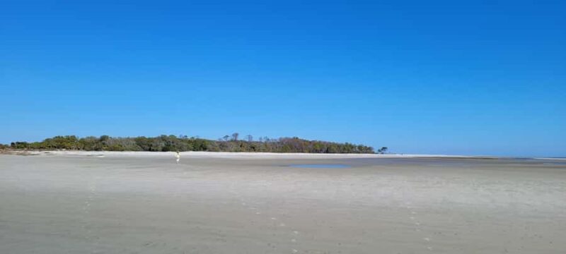 Savannah River Marsh: Your unforgettable Cruise Adventure! - Source