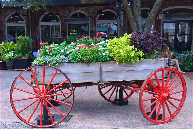 Savannah Scavenger Hunt Walking Tour and Game - Key Points