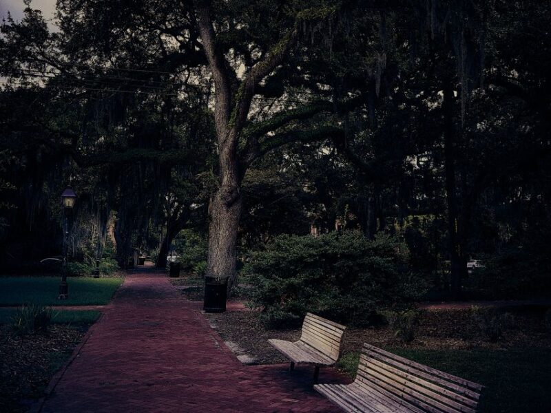 Savannah: Sixth Sense Savannah Ghost Tour - Why This Tour Works for Travelers