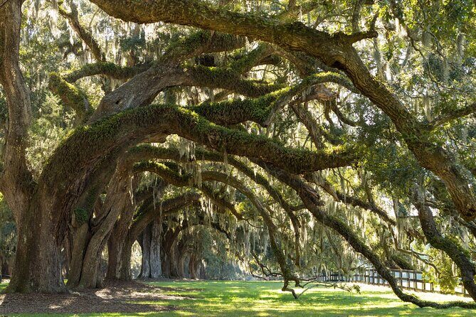 Savannah to Charleston Round Trip Self Guided Audio Tour - Pricing and Value