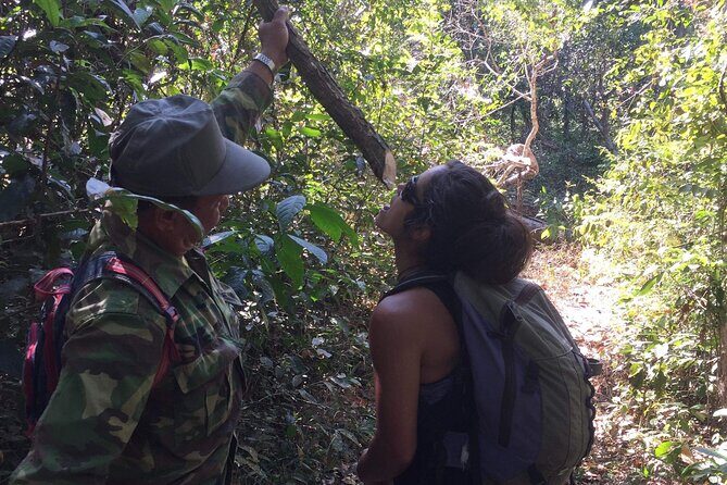 Savannakhet outskirt Day Trip Dong Natad Trekking - Key Points