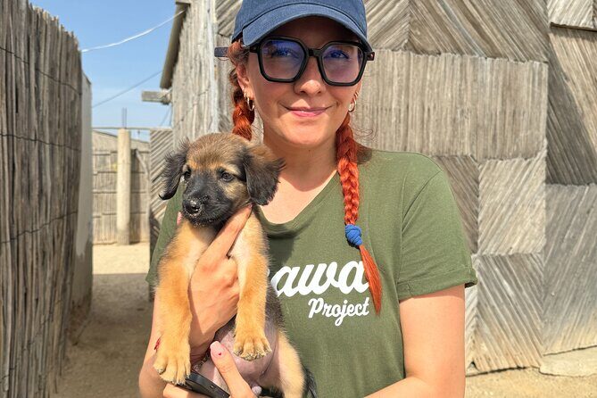 Saving Animals Tour in La Guajira (4 days / 3 nights) - What Makes This Tour Special?