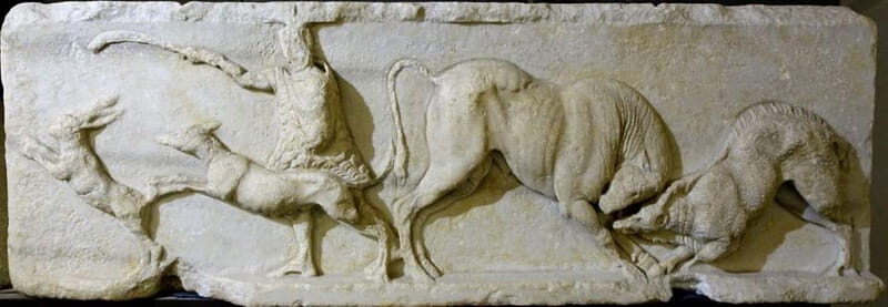 Savona: Guided visit to the Civic Archaeological Museum and the City of Savona - Savona: Guided visit to the Civic Archaeological Museum and the City of Savona