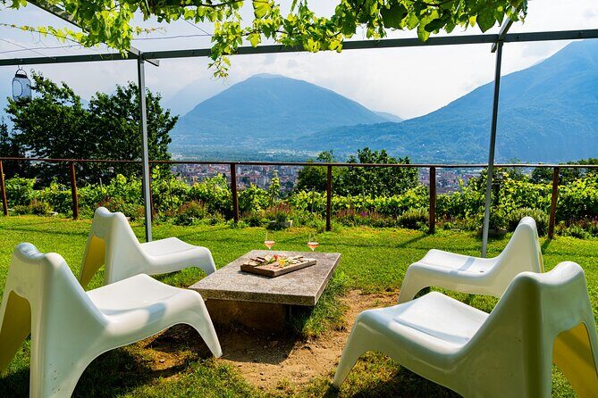 Savor Ossola Wines & Local Treats in a Scenic Vineyard - A Detailed Look at the Ossola Wine & Food Experience