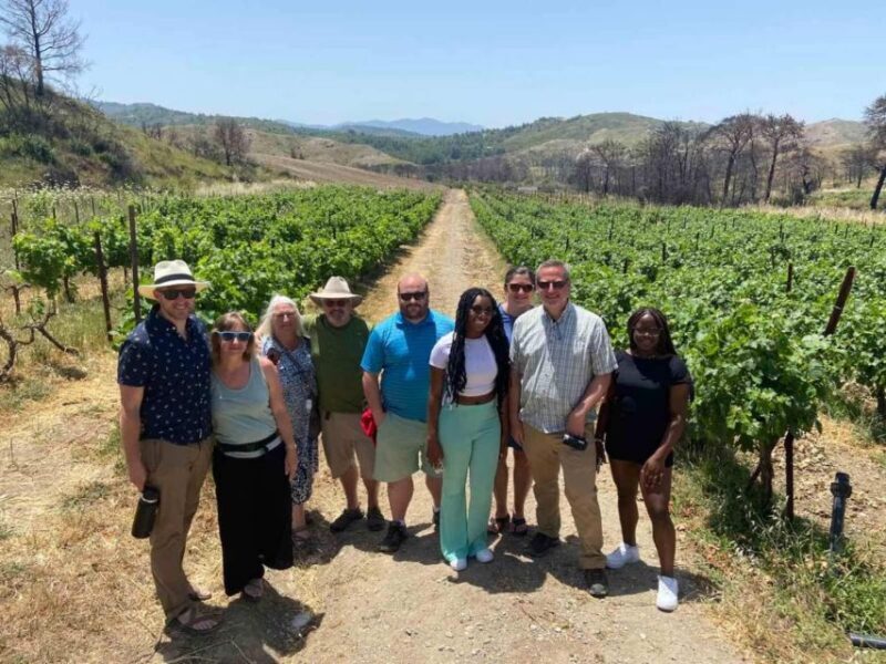 Savor Rhodes: 11-Dish Wine Pairing and Cooking Adventure - Frequently Asked Questions