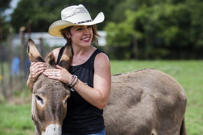 Savor the SYV Farm Experience Cattle Ranch to Olive Grove Picnic - Savor the SYV Farm Experience Cattle Ranch to Olive Grove Picnic: A Hands-On Taste of Santa Ynez Valley