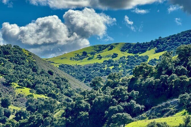 Savor the SYV Farm Experience Cattle Ranch to Olive Grove Picnic - FAQ