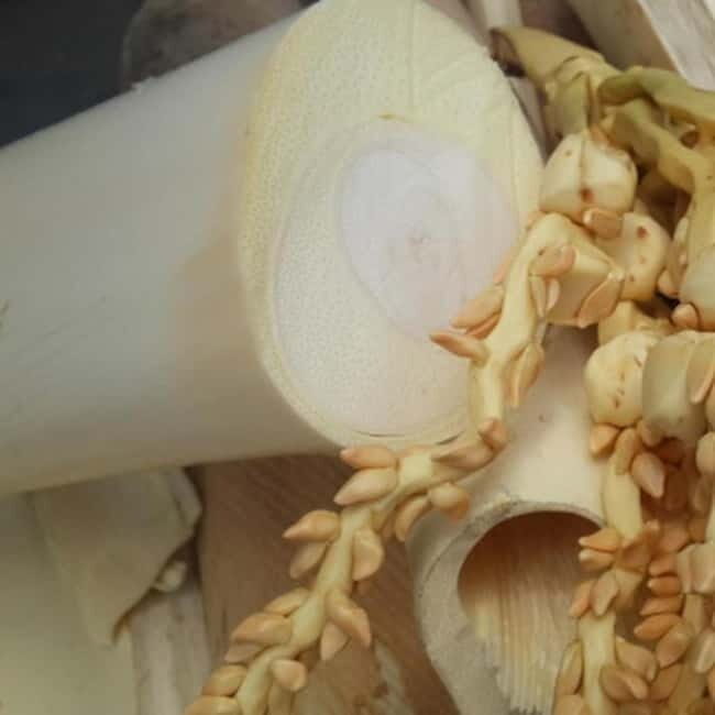 Savouring Madurai: Private Street Food Tour of Madurai ! - Key Points