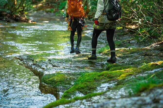 Sawanobori River Trekking Tour - FAQ: Your Practical Questions Answered