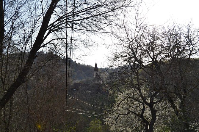 Saxon Heritage in Transylvania: Day Trip from Cluj-Napoca - Who Will Appreciate This Tour?