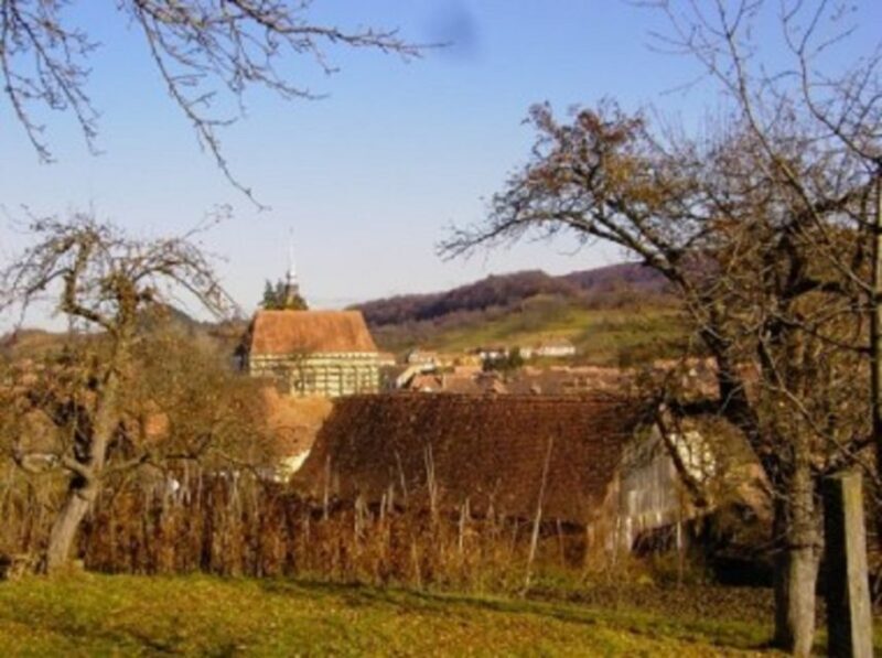 Saxon Secrets: The Malancrav & Biertan Experience - Exploring the Sighisoara Area: The Malancrav & Biertan Experience