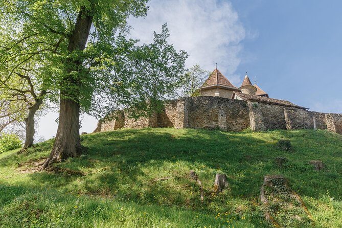 Saxon Secrets: The Malancrav & Biertan Experience - Exploring Malancrav and Biertan: A Journey into Saxon Heritage