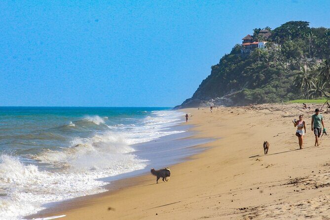 Sayulita and San Pancho Day Trip from Puerto Vallarta - Key Points