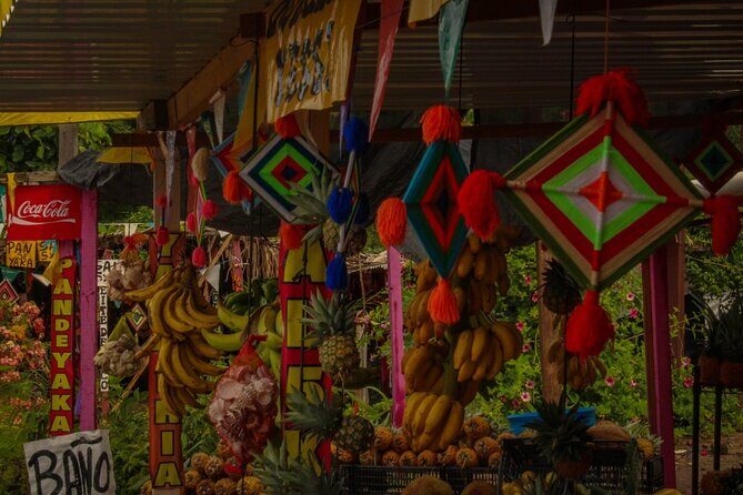 Sayulita and San Pancho Day Trip from Puerto Vallarta - Final Thoughts