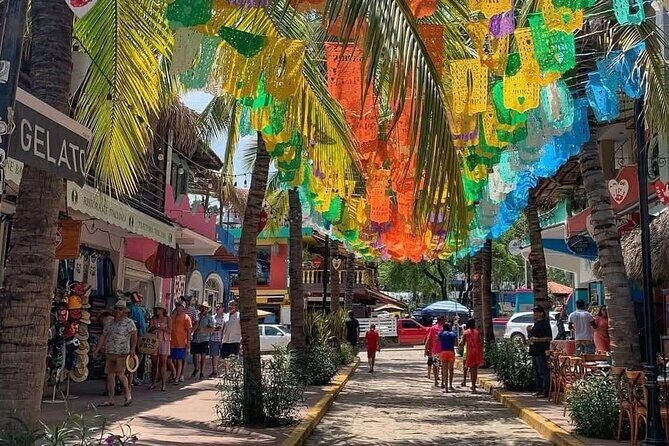 Sayulita Bar Drink and Socialize with Friends - Key Points