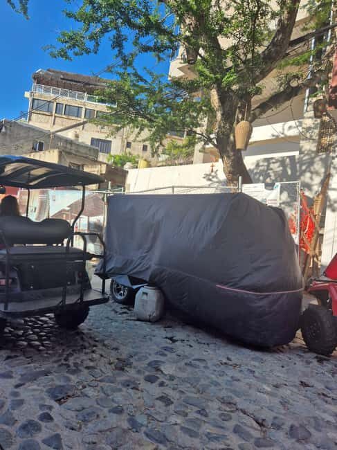 Sayulita: Electric Cart Rental - Exploring Sayulita with an Electric Cart