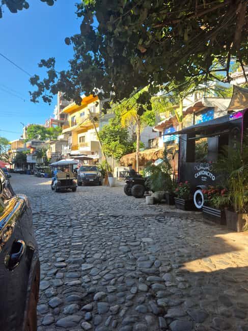 Sayulita: Electric Cart Rental - Who Will Most Enjoy This Experience?
