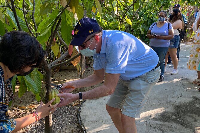 Sayulita Magical Town Tour: Local food, and chocolate. - Who Will Love This Tour?