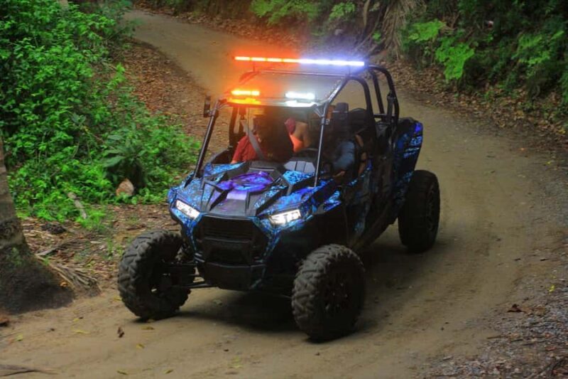 Sayulita Off-Road RZR Tour - What the Tour Entails