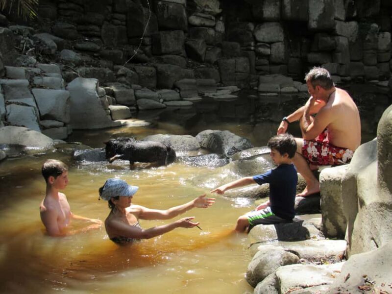 Sayulita: Petroglyphs Sacred Sanctuary Guided Experience - Key Points