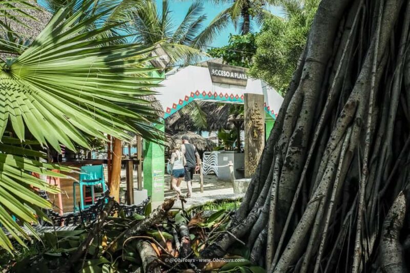 Sayulita & San Pancho: Private Trip from Puerto Vallarta - Who Will Appreciate This Tour?