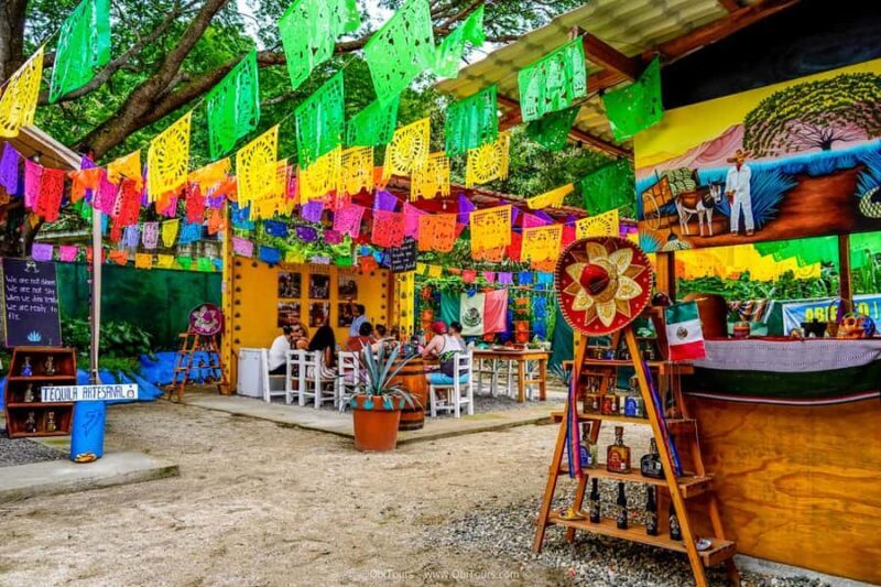 Sayulita & San Pancho: Private Trip from Puerto Vallarta - Final Thoughts