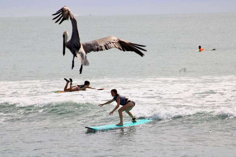Sayulita: Surf Lessons for Beginner/Intermediate/ Advance - The Real Value of the Tour