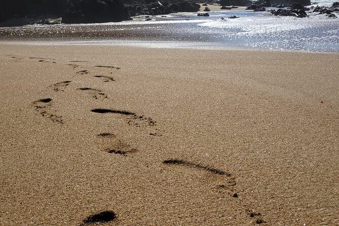 Sayulita Surfer Beach Town and Zarandeado with Seafood Grill - Final Thoughts on Value