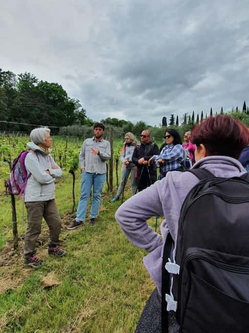 Scandicci: Bellavista Wine Tasting Experience - FAQ