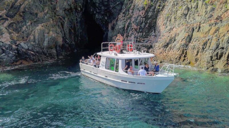 Scandola: check out the nature reserve from Porto (France) - A Closer Look at the Corsican Sea Tour