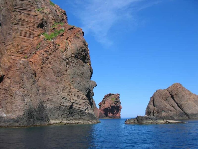 Scandola: check out the nature reserve from Porto (France) - Authentic Experiences and Real Traveler Feedback